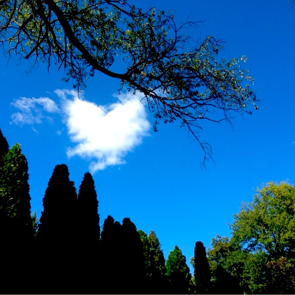 Hi there and welcome 😊